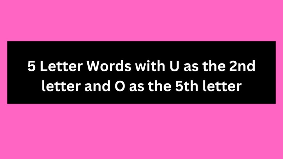 5 Letter Words with U as the 2nd letter and O as the 5th letter - Wordle Hint