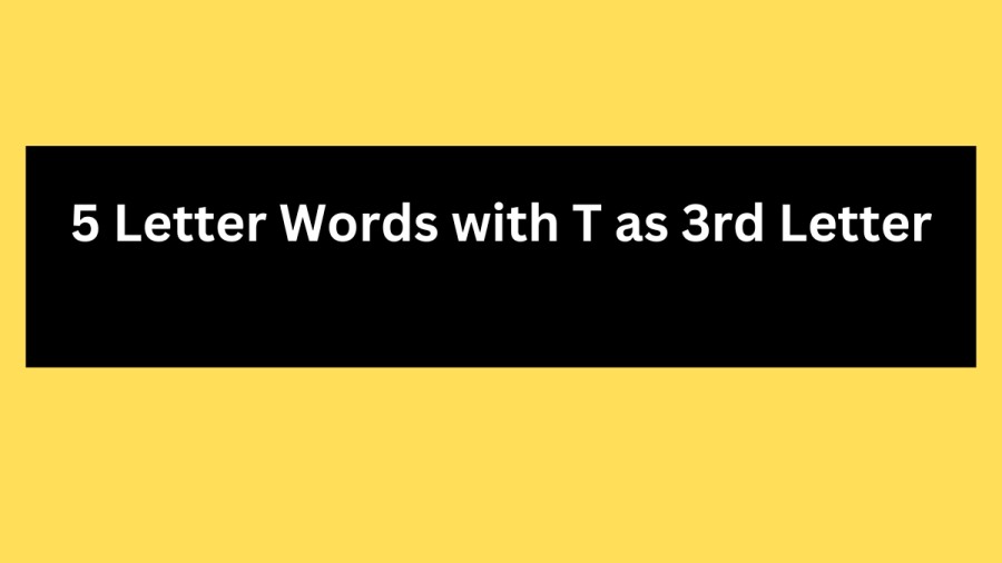 5 Letter Words with T as 3rd Letter - Wordle Hint