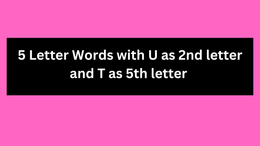 5 Letter Words with U as the 2nd letter and T as 5th letter - Wordle Hint
