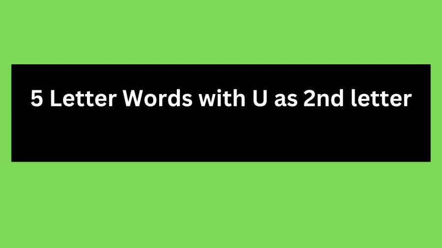 5 Letter Words with U as 2nd letter - Wordle Hint
