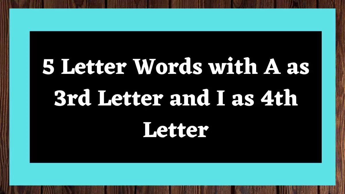 5 Letter Words with A as 3rd Letter and I as 4th Letter All Words List
