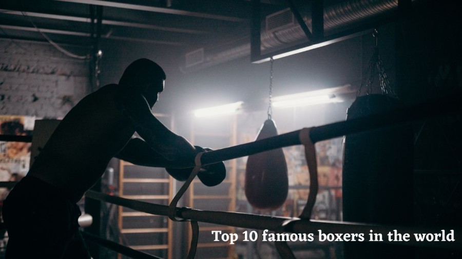 Best Boxers of All Time [ Top 10 Greatest Ever in the World]