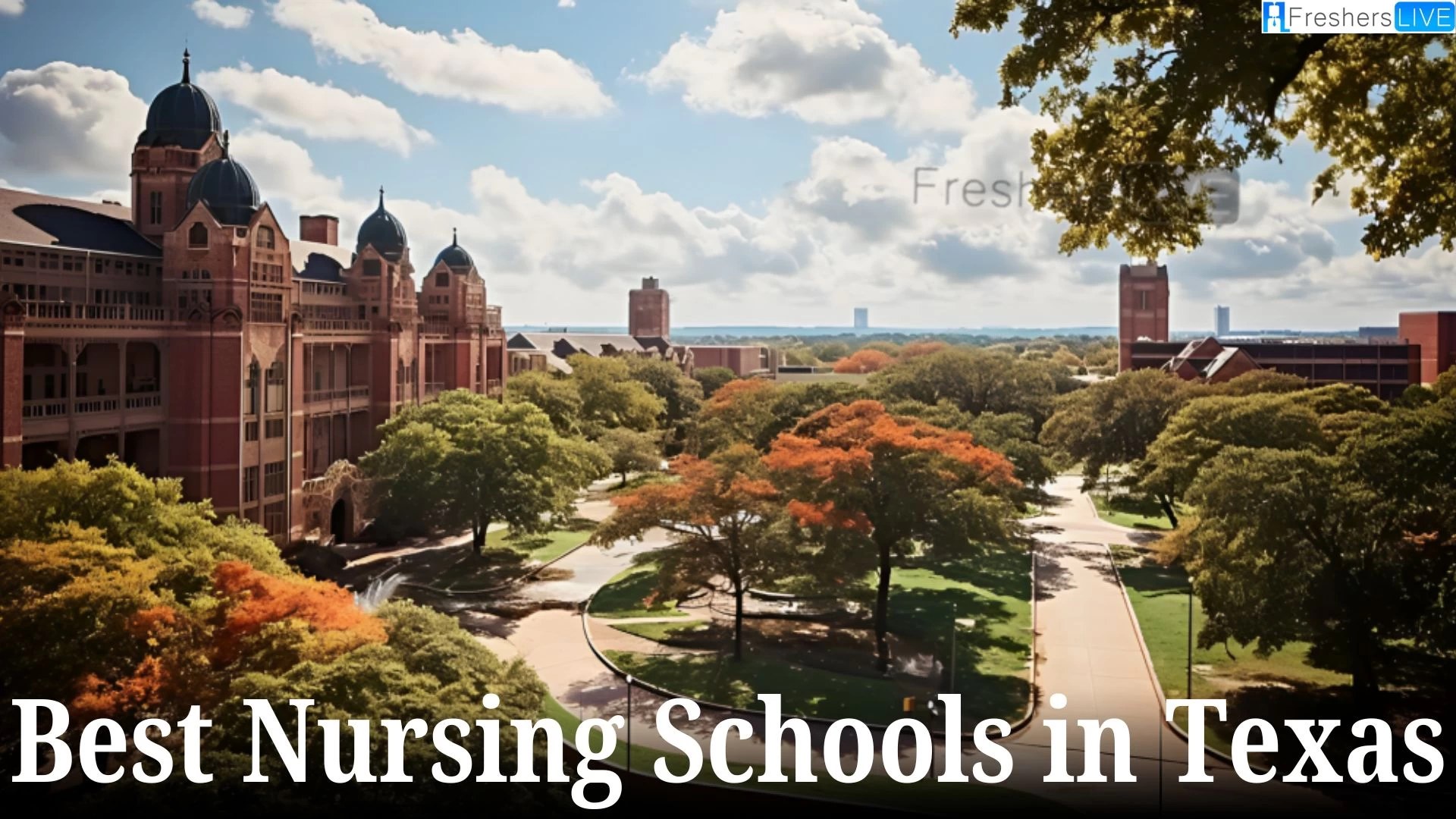 Best Nursing Schools in Texas - Top 10 Academic Excellence