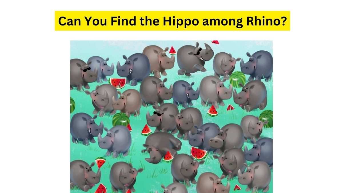 Do you see a Hippo here?