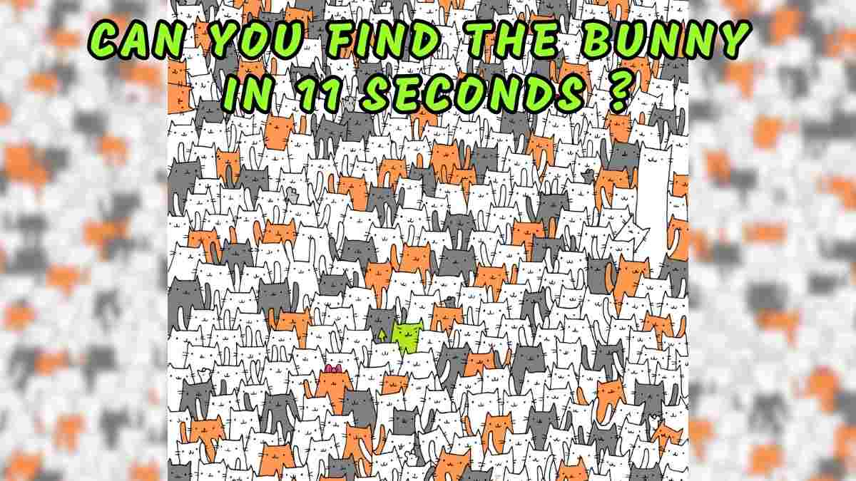 Brain Teaser Challenge: Can You Find The Hidden Bunny Among the Cats In 11 Seconds? 97% of People Fail!