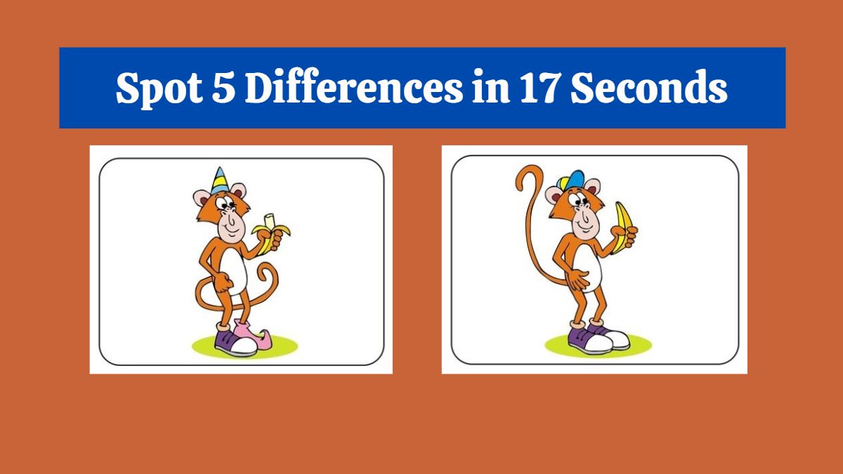 Spot 5 Differences in 17 Seconds