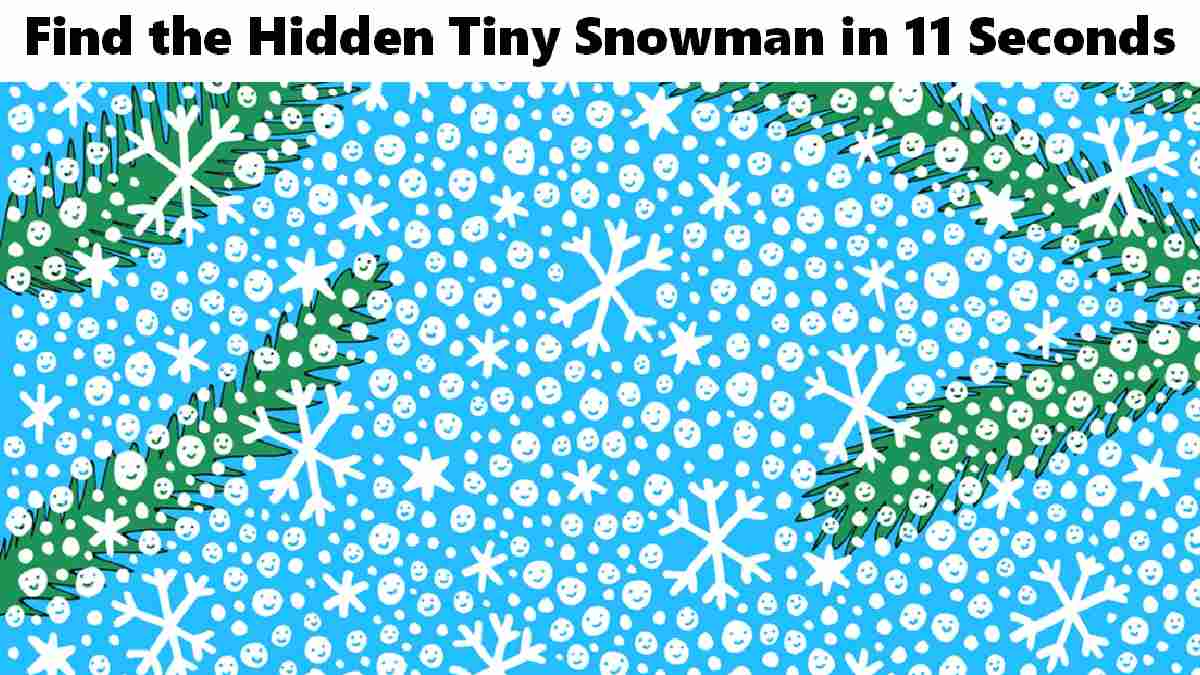 Only 1% High Visual IQ people could spot the tiny snowman hidden in this winter picture. Test your color blindness, observation skills, visual perception, analytical skills, and short term memory.