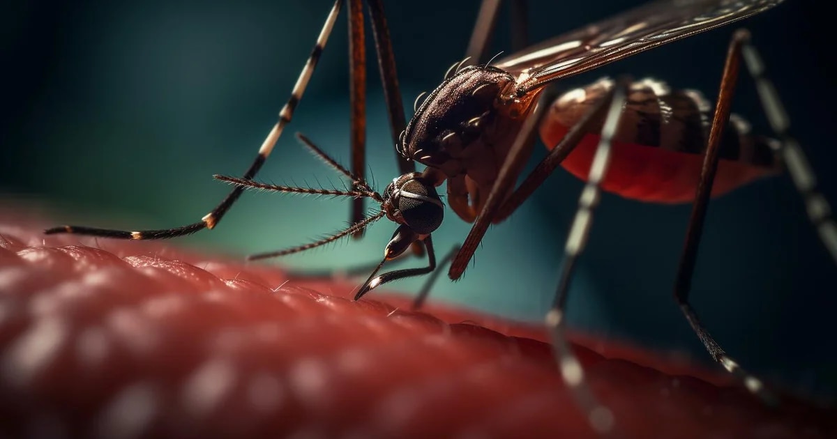 Investigan si los anticuerpos contra el COVID pueden aumentar el riesgo de dengue grave