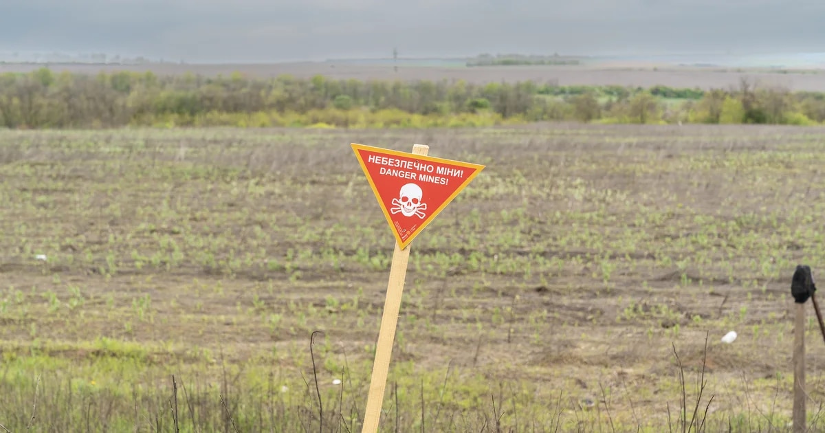 Las tareas de desminado avanzan en Ucrania: ya se han retirado explosivos de casi 10.000 hectáreas de terreno