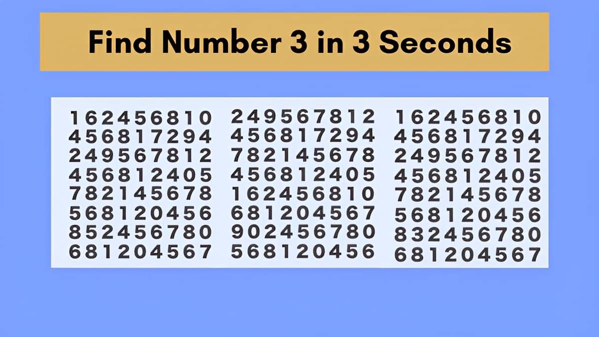 Find Number 3 in 3 Seconds