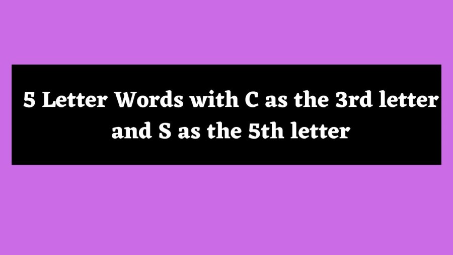 5 Letter Words with C as the 3rd letter and S as the 5th letter - Wordle Hint