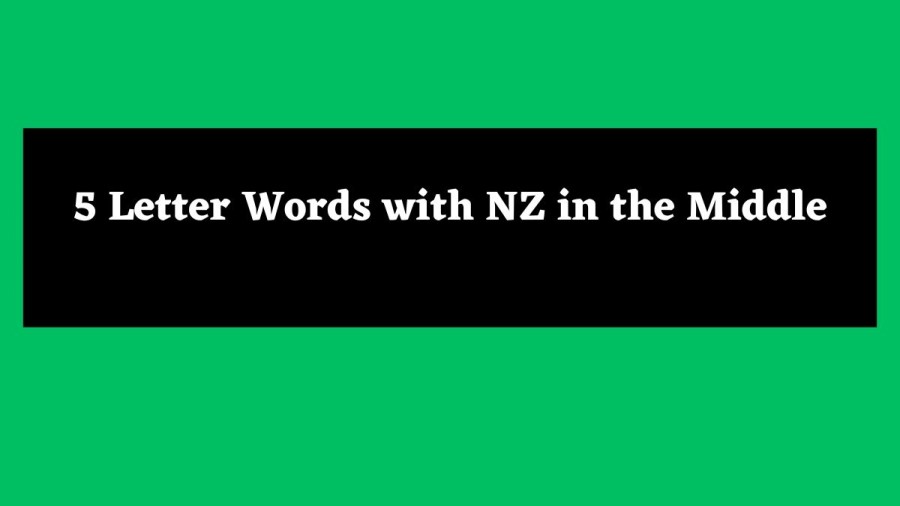 5 Letter Words with NZ in the Middle - Wordle Hint