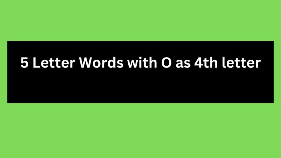 5 Letter Words with O as 4th letter - Wordle Hint