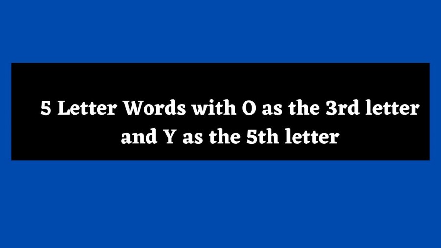 5 Letter Words with O as the 3rd letter and Y as the 5th letter - Wordle Hint