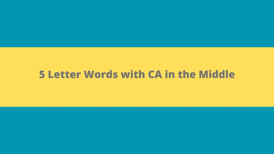 5 Letter Words with CA in the Middle - Wordle Hint