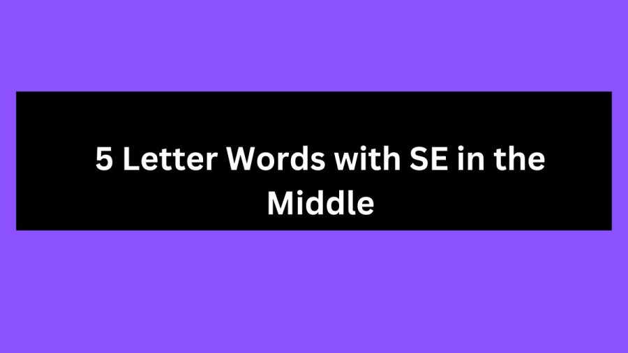5 Letter Words with SE in the Middle - Wordle Hint