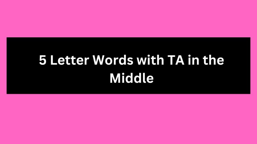 5 Letter Words with TA in the Middle - Wordle Hint