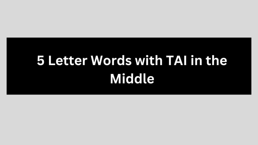 5 Letter Words with TAI in the Middle - Wordle Hint