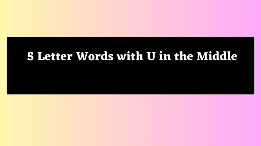 5 Letter Words with U in the Middle - Wordle Hint