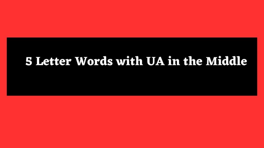 5 Letter Words with UA in the Middle - Wordle Hint