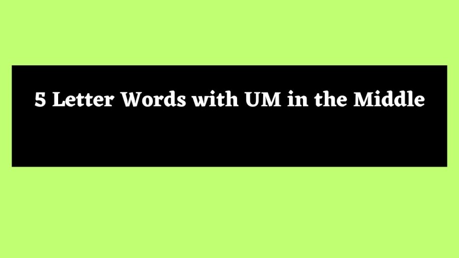 5 Letter Words with UM in the Middle - Wordle Hint