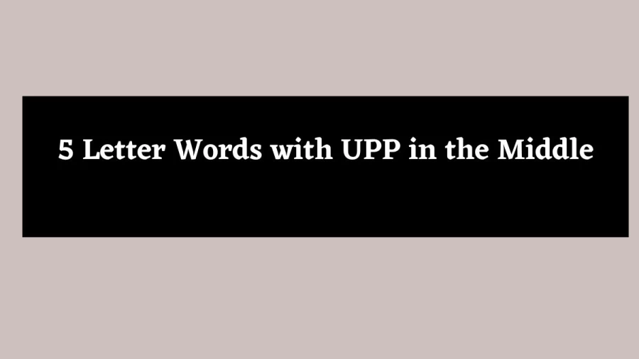 5 Letter Words with UPP in the Middle - Wordle Hint