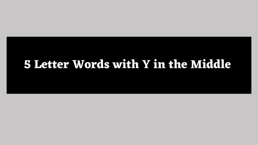 5 Letter Words with Y in the Middle - Wordle Hint