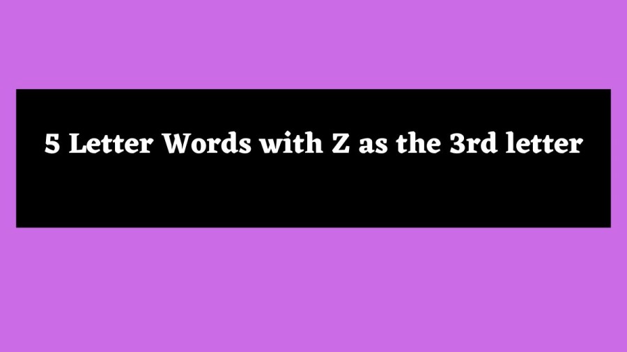 5 Letter Words with Z as the 3rd letter - Wordle Hint