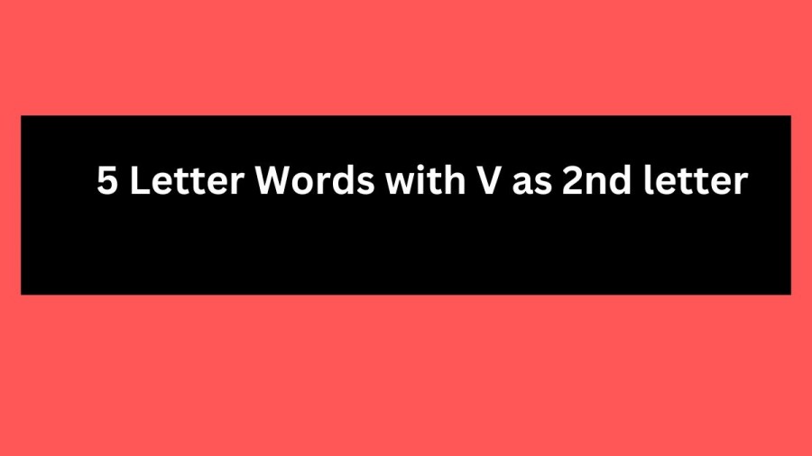 5 Letter Words with V as 2nd letter - Wordle Hint
