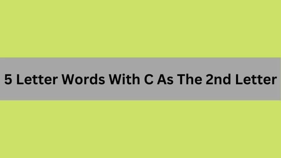 5 Letter Words With C As The 2nd Letter, List Of 5 Letter Words With C As The 2nd Letter