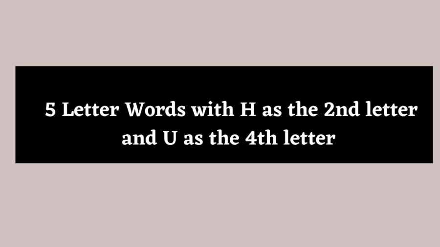 5 Letter Words with H as the 2nd letter and U as the 4th letter - Wordle Hint