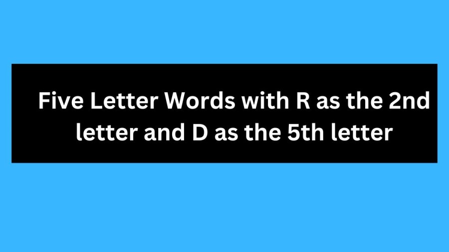 5 Letter Words with R as the 2nd letter and D as the 5th letter - Wordle Hint