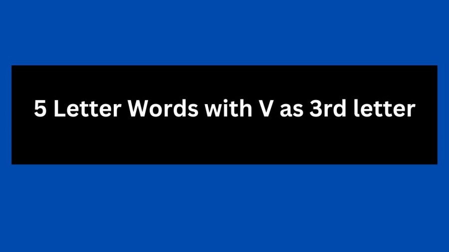 5 Letter Words with V as 3rd letter - Wordle Hint