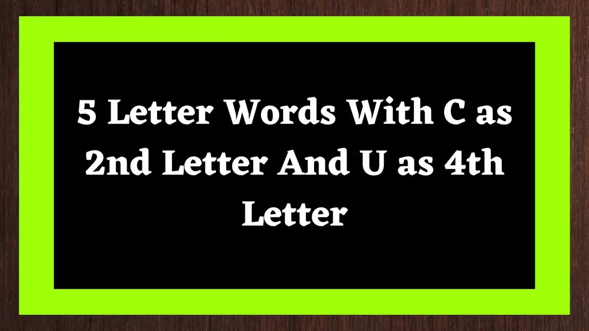 5 Letter Words With C as 2nd Letter And U as 4th Letter All Words List