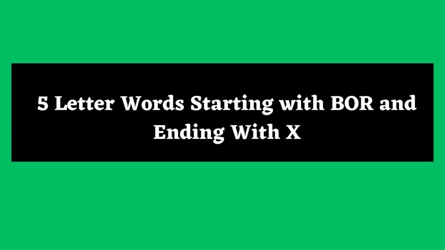 5 Letter Words Starting with BOR and Ending With X - Wordle Hint