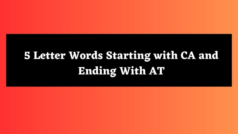 5 Letter Words Starting with CA and Ending With AT - Wordle Hint