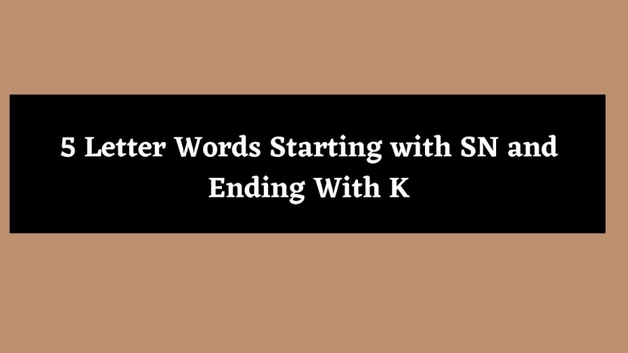 5 Letter Words Starting with SN and Ending With K - Wordle Hint