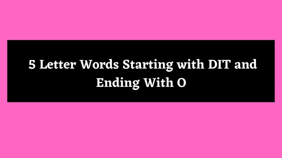 5 Letter Words Starting with DIT and Ending With O - Wordle Hint