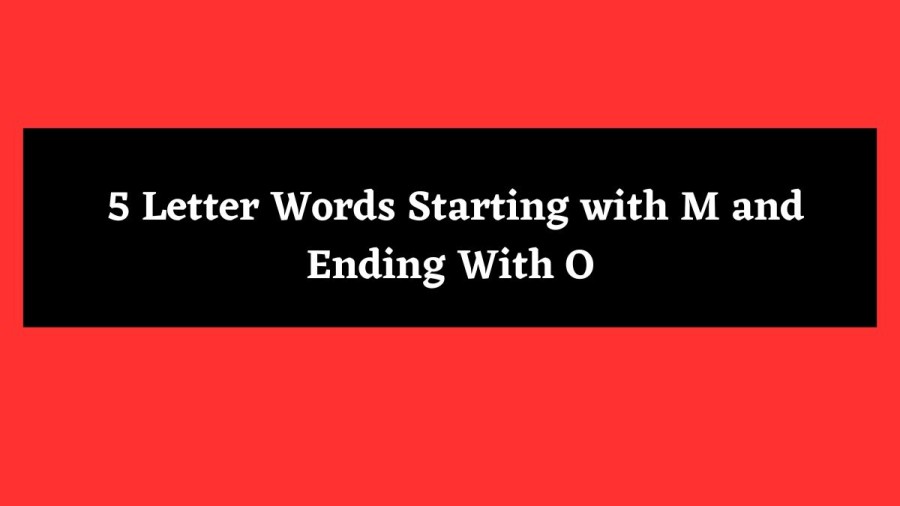 5 Letter Words Starting with M and Ending With O - Wordle Hint