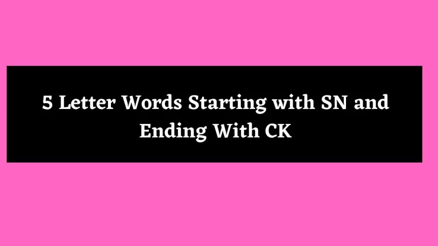 5 Letter Words Starting with SN and Ending With CK - Wordle Hint