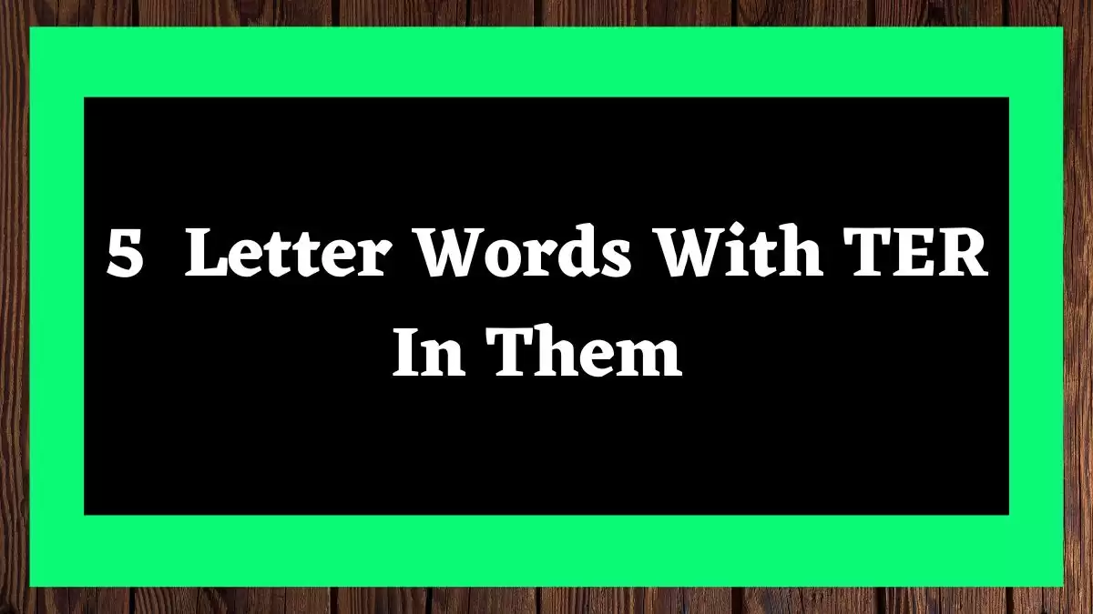 5 Letter Words With TER In Them All Words List
