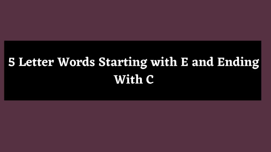 5 Letter Words Starting with E and Ending With C - Wordle Hint