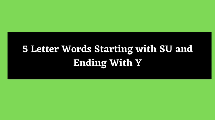 5 Letter Words Starting with SU and Ending With Y - Wordle Hint