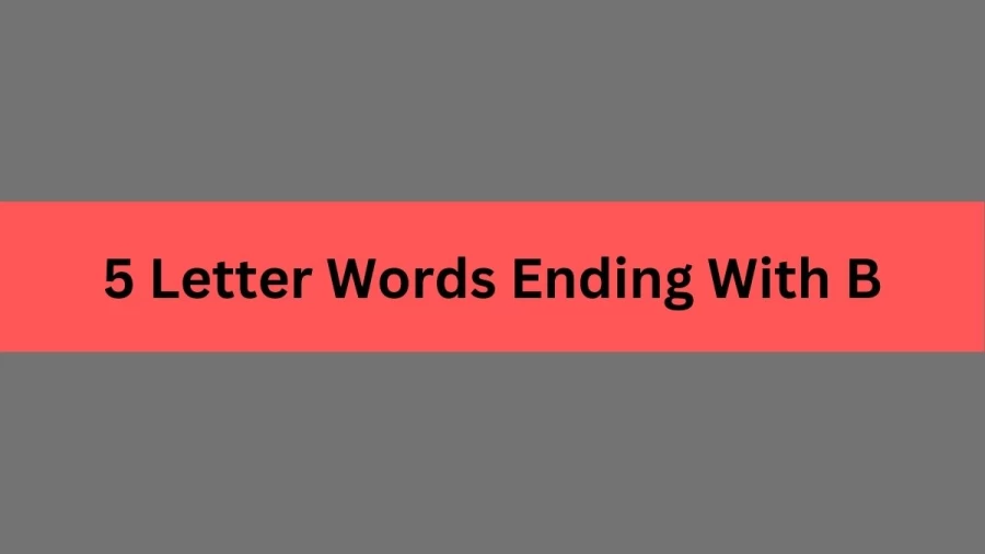 5 Letter Words Ending With B, List of 5 Letter Words Ending With B