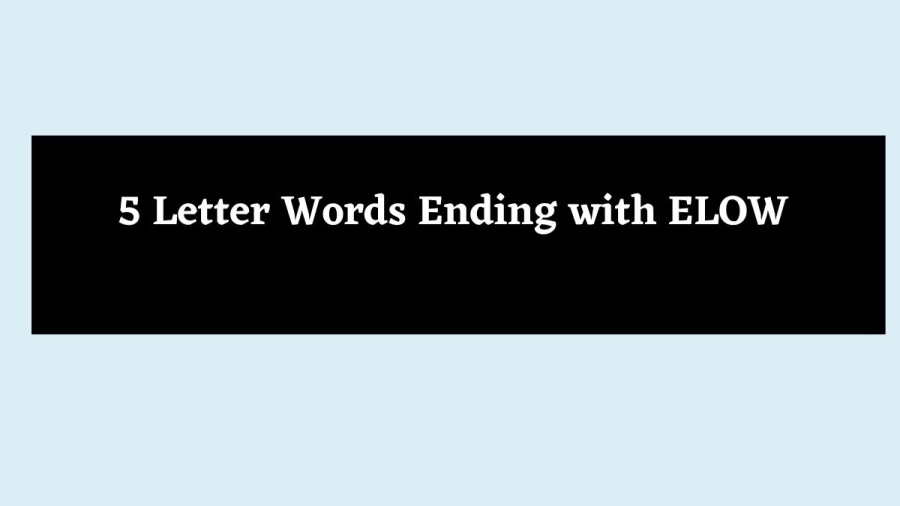 5 Letter Words Ending with ELOW - Wordle Hint