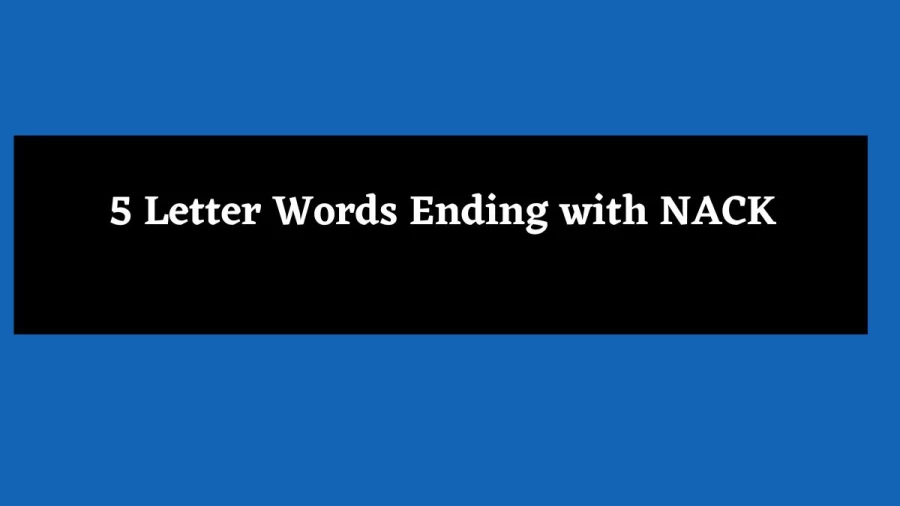 5 Letter Words Ending with NACK - Wordle Hint