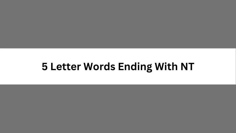 5 Letter Words Ending With NT, List Of 5 Letter Words Ending With NT
