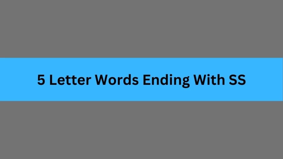 5 Letter Words Ending With SS, List Of 5 Letter Words Ending With SS