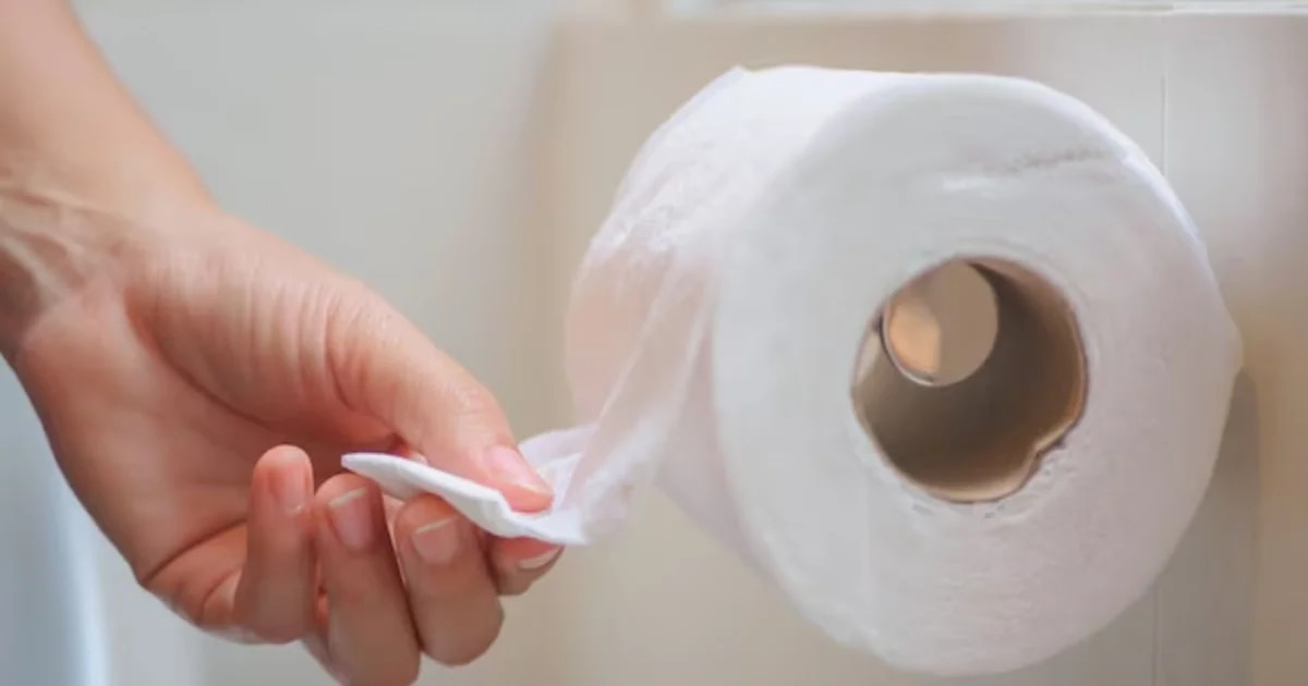 Papel higiénico vs bidet: cuál es mejor para cuidar tu salud según un experto de Harvard