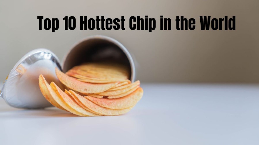 Top 10 Hottest Chip in the World - [ Ranking the Spiciest ]